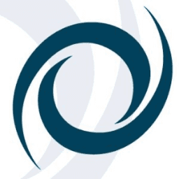Vision Planning And Consulting LLC