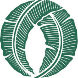 Asian Pacific American Institute For Congressional Studies, Inc.
