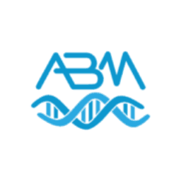 Abm LLC