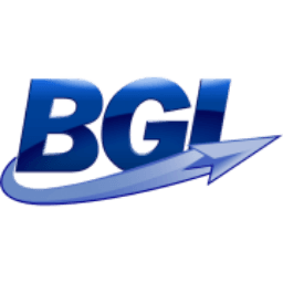 Bgi LLC