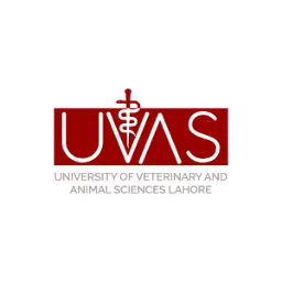 University Of Veterinary And Animal Sciences