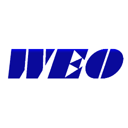 Wang Electro-opto Corporation