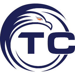 Tcecure LLC