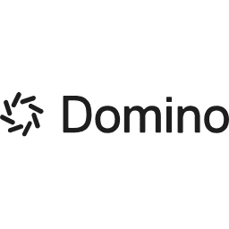 Domino Data Lab Inc.