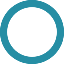 International Council On Clean Transportation Inc.