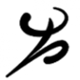 American Orthotic And Prosthetic Association