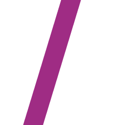 SMS Data Products Group Inc.