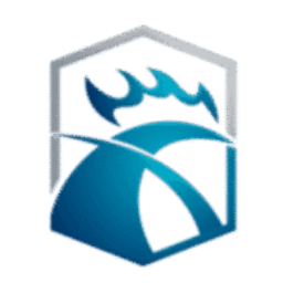 International Cyber Institute, LLC