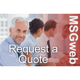 Management Solutions Group, Inc.