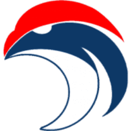 Pelicans LLC