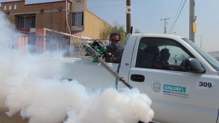 fumigation, street, pesticide, insect, insecticide, mosquito, pest, control, prevention, protection, termite, text, health, sign, bengal, kolkata, curb, municipal, patients, dengue, equipment, fever, fumigate, spray, calcutta, west, chemical, road, india, way, corporation, breeding, annihilation, bed, bed bugs, bug, carrier, baja california, mexico, tijuana, dangerous, repellent, flea, exterminator, parasite, contamination, hygienic, protective, rodent