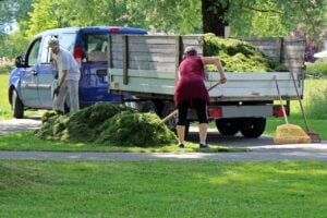 landscaper, gardener, gardening, workers, landscaping, gardeners, work, garden, nature, park