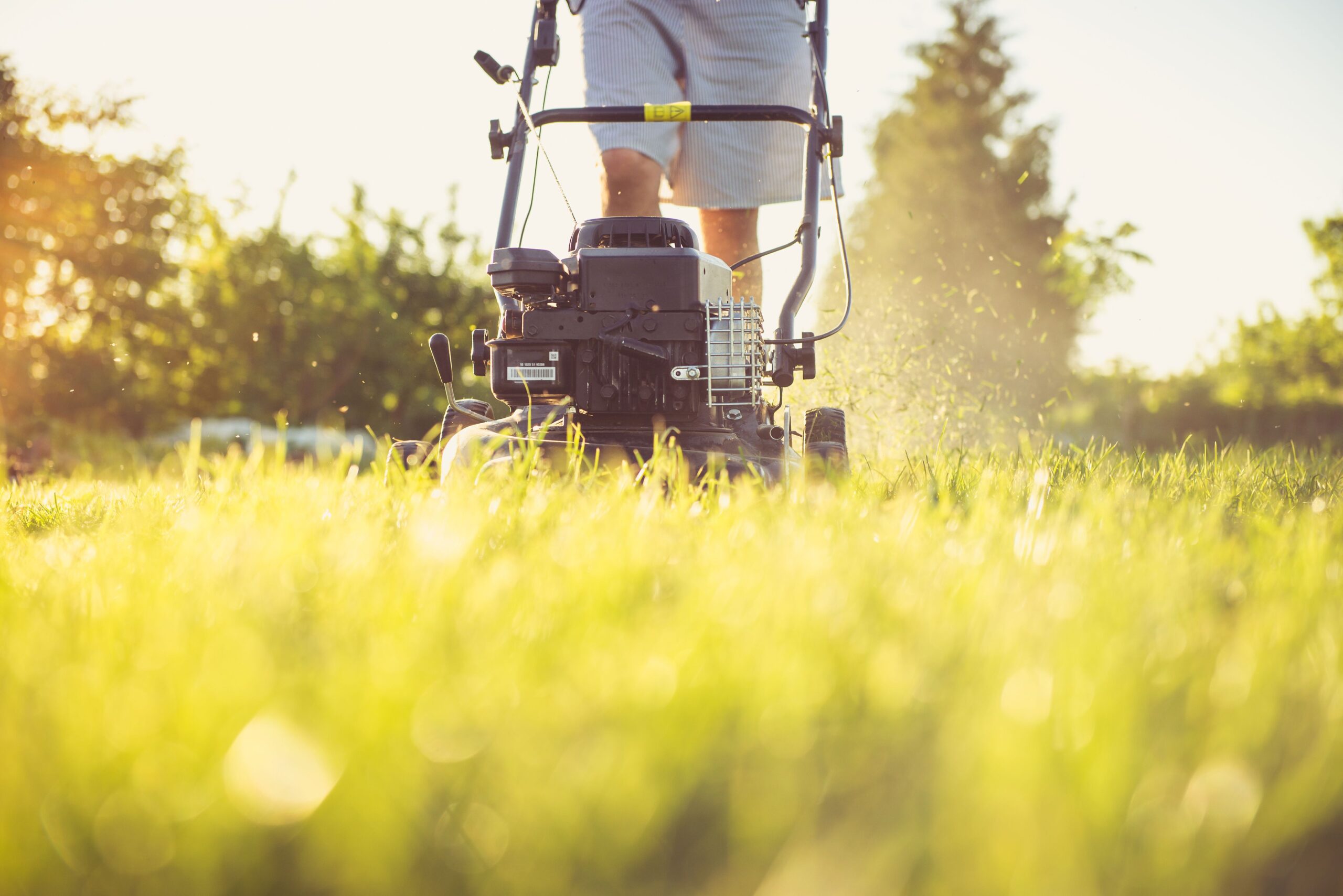 Landscaping contractor mowing a lawn, one of the easiest government contracts to win in 2026A person cutting grass with a lawn mower